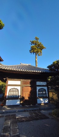 LINE_ALBUM_大心院（妙心寺)スギ伐採工_221026_13