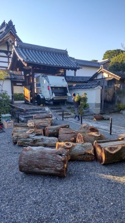 LINE_ALBUM_大心院（妙心寺)スギ伐採工_221026_15